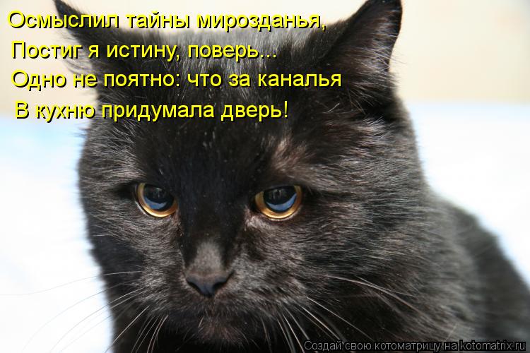 Осмыслил тайны мирозданья, Постиг я истину, поверь... Одно не поятно: что за каналья В кухню придумал... Котоматрица: Осмыслил тайны мирозданья, Постиг я истину, поверь... Одно не поятно: что за каналья В кухню придумала дверь!