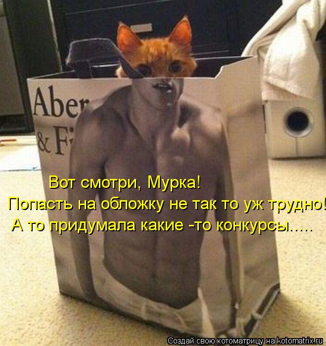 Вот смотри, Мурка! Попасть на обложку не так то уж трудно! А то придумала какие -то конкурсы........ Котоматрица: Вот смотри, Мурка! Попасть на обложку не так то уж трудно! А то придумала какие -то конкурсы.....