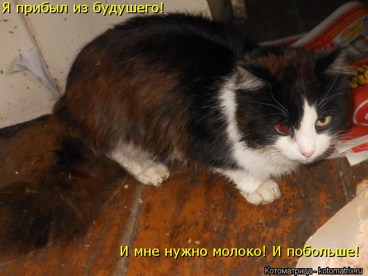 Котоматрица: Я прибыл из будушего! И мне нужно молоко! И побольше!