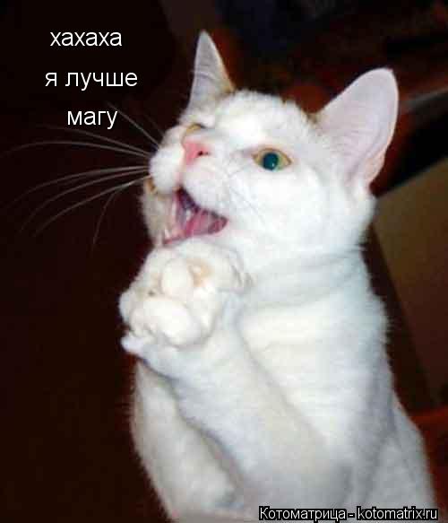 хахаха хахаха я лучше магу... Котоматрица: хахаха хахаха я лучше магу