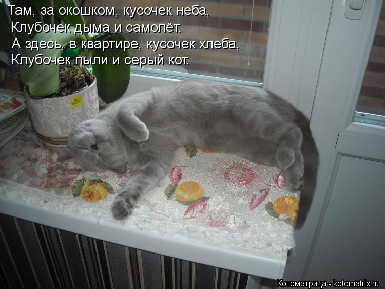 Там, за окошком, кусочек неба, Клубочек дыма и самолёт. А здесь, в квартире, кусочек хлеба, Клубоче... Котоматрица: Там, за окошком, кусочек неба, Клубочек дыма и самолёт. А здесь, в квартире, кусочек хлеба, Клубочек пыли и серый кот.