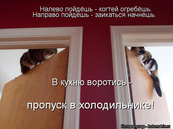 Налево пойдёшь - когтей огребёшь. В кухню воротись - пропуск в холодильнике! Направо пойдёшь - заикат... Котоматрица: Налево пойдёшь - когтей огребёшь. В кухню воротись - пропуск в холодильнике! Направо пойдёшь - заикаться начнёшь.