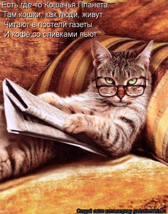 Есть где-то Кошачья Планета. Там кошки, как люди, живут: Читают в постели газеты И кофе со сливками п... Котоматрица: Есть где-то Кошачья Планета. Там кошки, как люди, живут: Читают в постели газеты И кофе со сливками пьют.