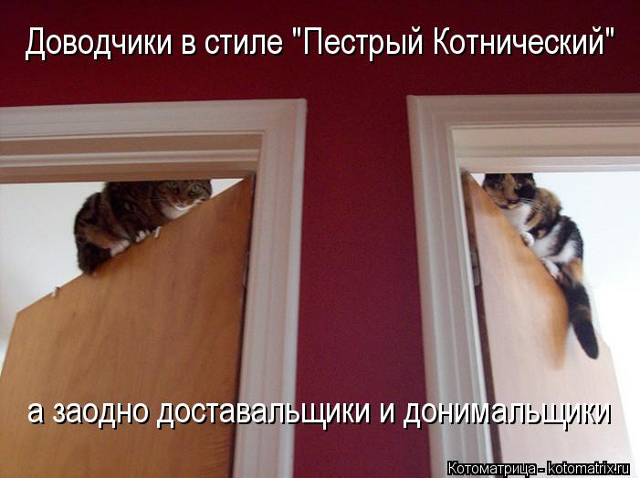 Доводчики в стиле "Пестрый Котнический" а заодно доставальщики и донимальщики... Котоматрица: Доводчики в стиле "Пестрый Котнический" а заодно доставальщики и донимальщики