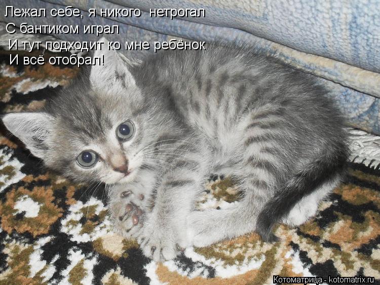 Лежал себе, я никого нетрогал С бантиком играл И тут подходит ко мне ребёнок И всё отобрал!... Котоматрица: Лежал себе, я никого нетрогал С бантиком играл И тут подходит ко мне ребёнок И всё отобрал!
