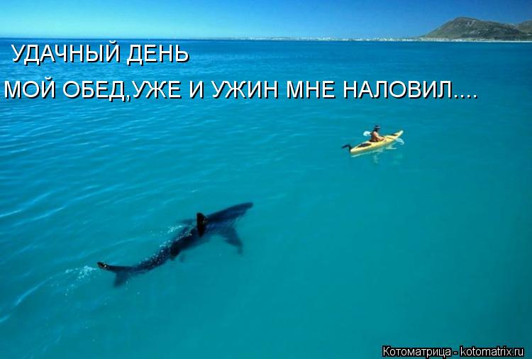 МОЙ ОБЕД,УЖЕ И УЖИН МНЕ НАЛОВИЛ.... УДАЧНЫЙ ДЕНЬ... Котоматрица: МОЙ ОБЕД,УЖЕ И УЖИН МНЕ НАЛОВИЛ.... УДАЧНЫЙ ДЕНЬ