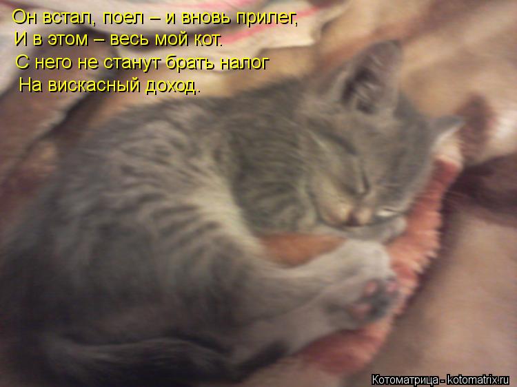Он встал, поел – и вновь прилег, И в этом – весь мой кот. С него не станут брать налог На вискасный д... Котоматрица: Он встал, поел – и вновь прилег, И в этом – весь мой кот. С него не станут брать налог На вискасный доход.