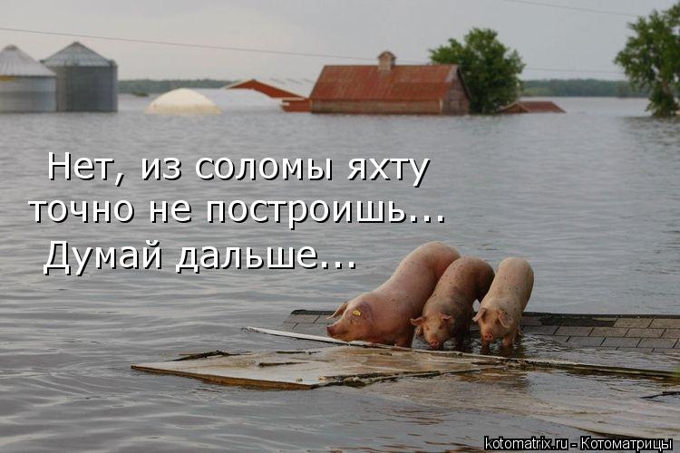 Нет, из соломы яхту точно не построишь... Думай дальше...... Котоматрица: Нет, из соломы яхту точно не построишь... Думай дальше...