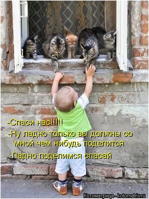 -Спаси нас!!!!! -Ну ладно только вы должны со мной чем нибудь поделится -Ладно поделимся спасай... Котоматрица: -Спаси нас!!!!! -Ну ладно только вы должны со мной чем нибудь поделится -Ладно поделимся спасай