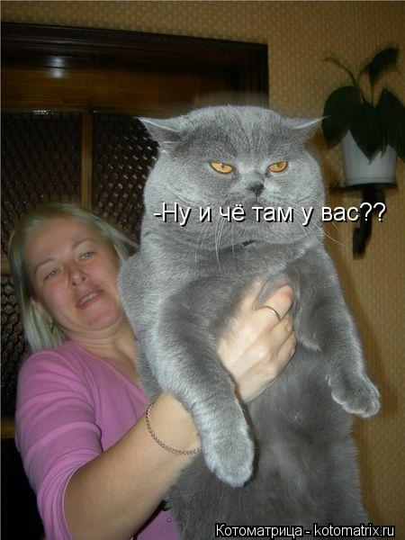 -Ну и чё там у вас??... Котоматрица: -Ну и чё там у вас??
