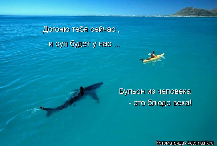 Догоню тебя сейчас , и суп будет у нас ... Бульон из человека - это блюдо века!... Котоматрица: Догоню тебя сейчас , и суп будет у нас ... Бульон из человека - это блюдо века!