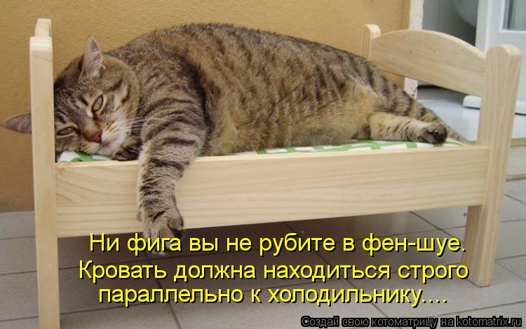 Ни фига вы не рубите в фен-шуе. Кровать должна находиться строго параллельно к холодильнику....... Котоматрица: Ни фига вы не рубите в фен-шуе. Кровать должна находиться строго параллельно к холодильнику....