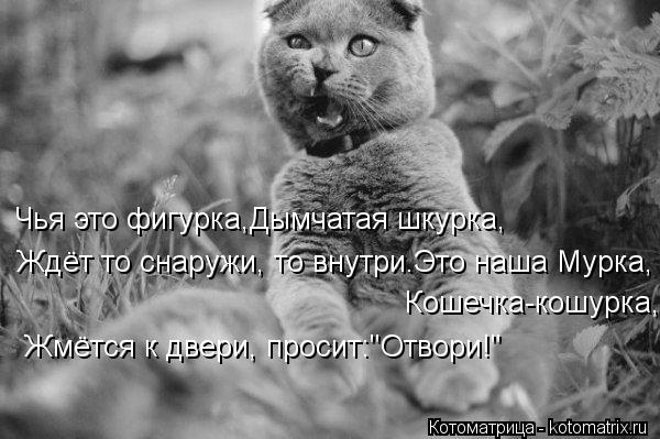 Чья это фигурка,Дымчатая шкурка, Ждёт то снаружи, то внутри.Это наша Мурка, Кошечка-кошурка, Жмётся к... Котоматрица: Чья это фигурка,Дымчатая шкурка, Ждёт то снаружи, то внутри.Это наша Мурка, Кошечка-кошурка, Жмётся к двери, просит:"Отвори!"