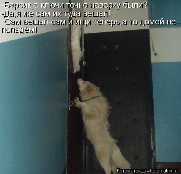 -Барсик,а ключи точно наверху были? -Да,я же сам их туда вешал! -Сам вешал-сам и ищи теперь,а то домо... Котоматрица: -Барсик,а ключи точно наверху были? -Да,я же сам их туда вешал! -Сам вешал-сам и ищи теперь,а то домой не попадём!