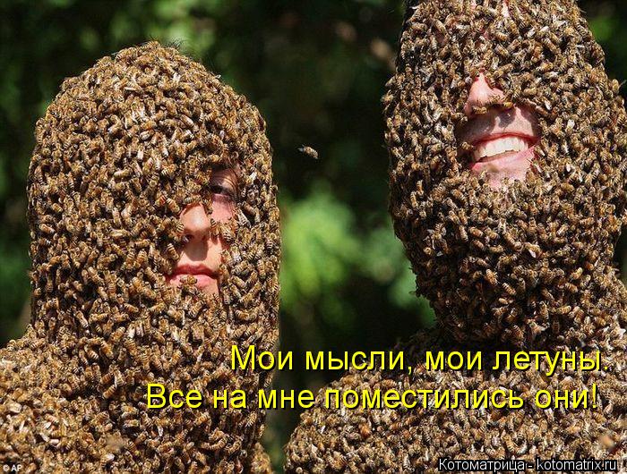 Мои мысли, мои летуны. Все на мне поместились они!... Котоматрица: Мои мысли, мои летуны. Все на мне поместились они!