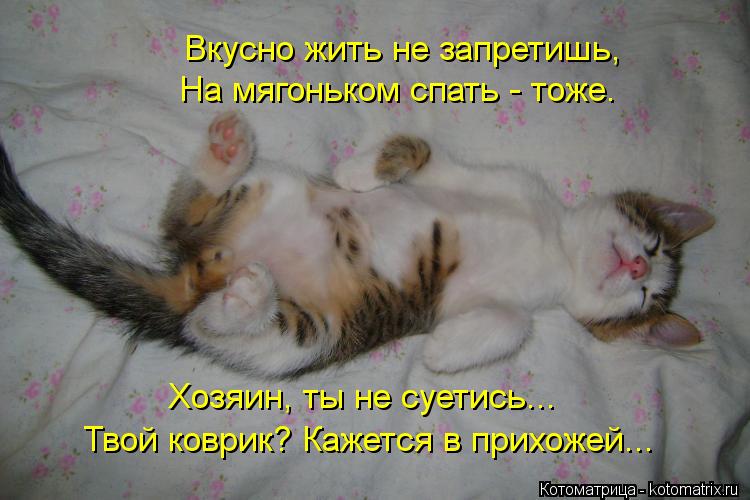 Вкусно жить не запретишь, На мягоньком спать - тоже. Хозяин, ты не суетись... Твой коврик? Кажется в ... Котоматрица: Вкусно жить не запретишь, На мягоньком спать - тоже. Хозяин, ты не суетись... Твой коврик? Кажется в прихожей...