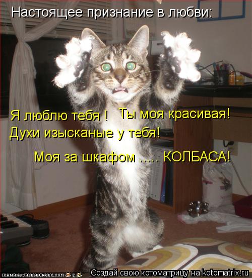 Настоящее признание в любви: Я люблю тебя ! Ты моя красивая! Духи изысканые у тебя! Моя за шкафом ...... Котоматрица: Настоящее признание в любви: Я люблю тебя ! Ты моя красивая! Духи изысканые у тебя! Моя за шкафом ..... КОЛБАСА!