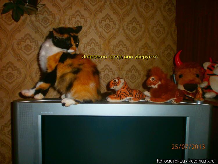 Котоматрица: Интересно когда они уберутся?