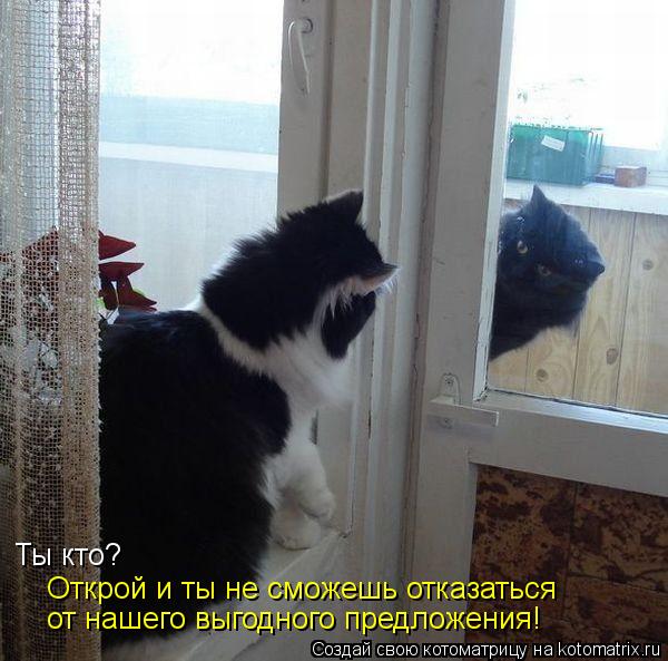 Ты кто? Открой и ты не сможешь отказаться от нашего выгодного предложения!... Котоматрица: Ты кто? Открой и ты не сможешь отказаться от нашего выгодного предложения!