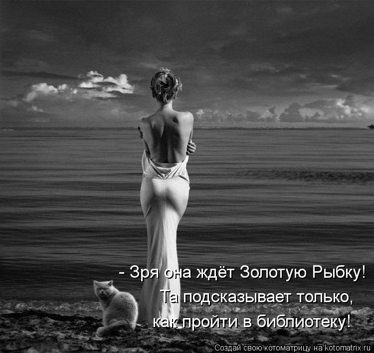 - Зря она ждёт Золотую Рыбку! Та подсказывает только, как пройти в библиотеку!... Котоматрица: - Зря она ждёт Золотую Рыбку! Та подсказывает только, как пройти в библиотеку!