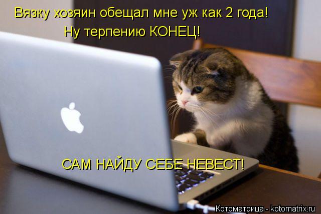 Вязку хозяин обещал мне уж как 2 года! Ну терпению КОНЕЦ! САМ НАЙДУ СЕБЕ НЕВЕСТ!... Котоматрица: Вязку хозяин обещал мне уж как 2 года! Ну терпению КОНЕЦ! САМ НАЙДУ СЕБЕ НЕВЕСТ!