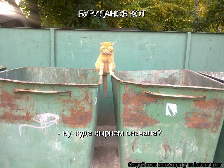 БУРИДАНОВ КОТ - ну, куда нырнем сначала? БУРИДАНОВ КОТ - ну, куда нырнем сначала?... Котоматрица: БУРИДАНОВ КОТ - ну, куда нырнем сначала? БУРИДАНОВ КОТ - ну, куда нырнем сначала?