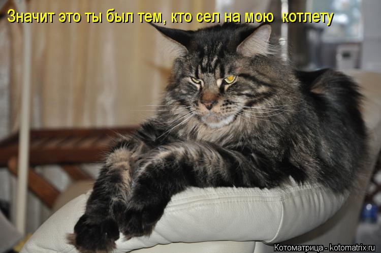 Значит это ты был тем, кто сел на мою котлету... Котоматрица: Значит это ты был тем, кто сел на мою котлету