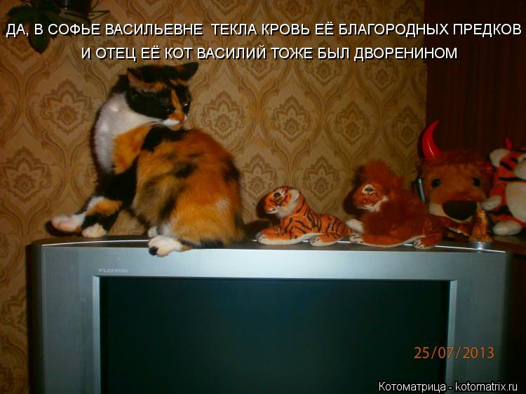 ДА, В СОФЬЕ ВАСИЛЬЕВНЕ ТЕКЛА КРОВЬ ЕЁ БЛАГОРОДНЫХ ПРЕДКОВ И ОТЕЦ ЕЁ КОТ ВАСИЛИЙ ТОЖЕ БЫЛ ДВОРЕНИНОМ... Котоматрица: ДА, В СОФЬЕ ВАСИЛЬЕВНЕ ТЕКЛА КРОВЬ ЕЁ БЛАГОРОДНЫХ ПРЕДКОВ И ОТЕЦ ЕЁ КОТ ВАСИЛИЙ ТОЖЕ БЫЛ ДВОРЕНИНОМ
