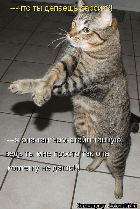 ---что ты делаешь барсик?! ---я опа-гангнам-стайл танцую, ведь ты мне просто так опа котлетку не да... Котоматрица: ---что ты делаешь барсик?! ---я опа-гангнам-стайл танцую, ведь ты мне просто так опа котлетку не дашь!!!
