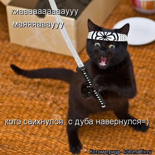 киааааааааааууу маяяяаааууу котэ свихнулся, с дуба навернулся=)... Котоматрица: киааааааааааууу маяяяаааууу котэ свихнулся, с дуба навернулся=)