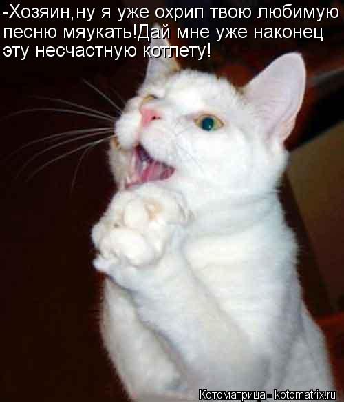 -Хозяин,ну я уже охрип твою любимую песню мяукать!Дай мне уже наконец эту несчастную котлету!... Котоматрица: -Хозяин,ну я уже охрип твою любимую песню мяукать!Дай мне уже наконец эту несчастную котлету!