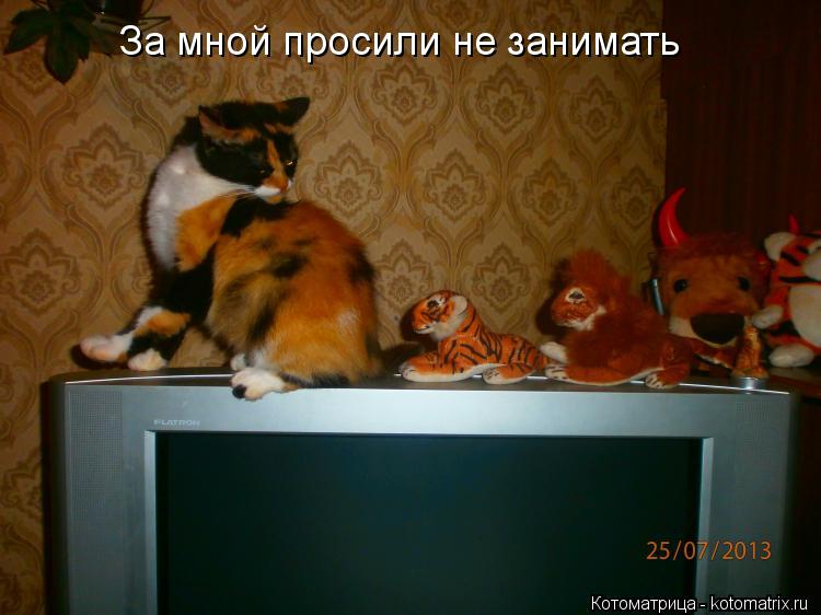 Котоматрица: За мной просили не занимать