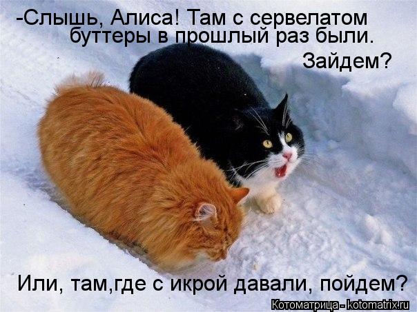 -Слышь, Алиса! Там с сервелатом буттеры в прошлый раз были. Зайдем? Или, там,где с икрой давали, пойд... Котоматрица: -Слышь, Алиса! Там с сервелатом буттеры в прошлый раз были. Зайдем? Или, там,где с икрой давали, пойдем?