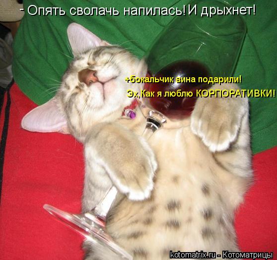 Опять сволачь напилась! И дрыхнет! +бокальчик вина подарили! Эх,Как я люблю КОРПОРАТИВКИ! -... Котоматрица: Опять сволачь напилась! И дрыхнет! +бокальчик вина подарили! Эх,Как я люблю КОРПОРАТИВКИ! -