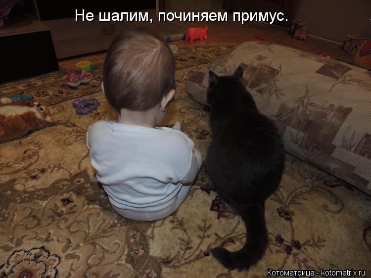 Не шалим, починяем примус.... Котоматрица: Не шалим, починяем примус.