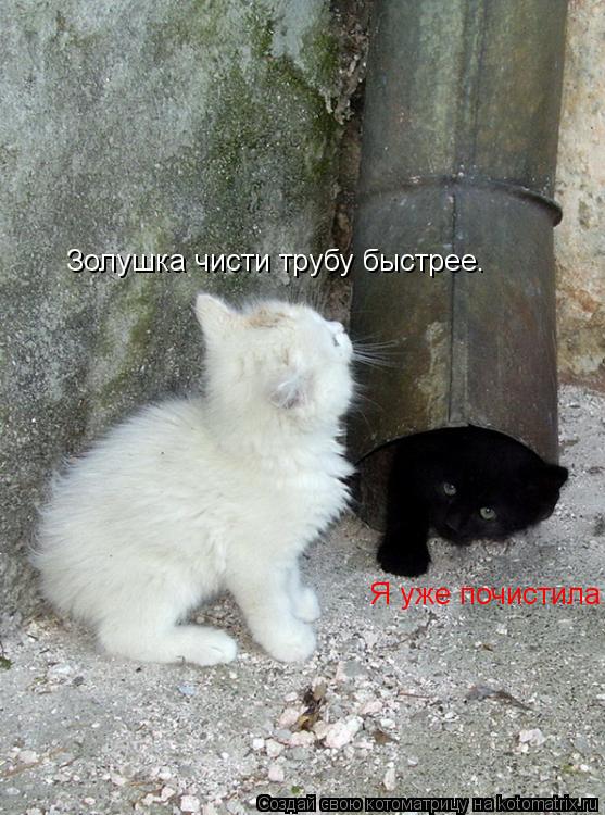Золушка чисти трубу быстрее. Я уже почистила... Котоматрица: Золушка чисти трубу быстрее. Я уже почистила