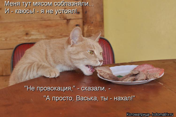 Меня тут мясом соблазняли... И - каюсь! - я не устоял! "Не провокация," - сказали, - "А просто, Васьк... Котоматрица: Меня тут мясом соблазняли... И - каюсь! - я не устоял! "Не провокация," - сказали, - "А просто, Васька, ты - нахал!"