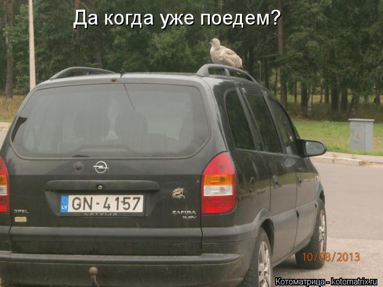 Котоматрица: Да когда уже поедем?