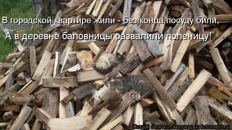А в деревне баловницы развалили поленицу! В городской квартире жили - без конца посуду били,... Котоматрица: А в деревне баловницы развалили поленицу! В городской квартире жили - без конца посуду били,