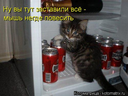 Ну вы тут заставили всё - мышь негде повесить... Котоматрица: Ну вы тут заставили всё - мышь негде повесить