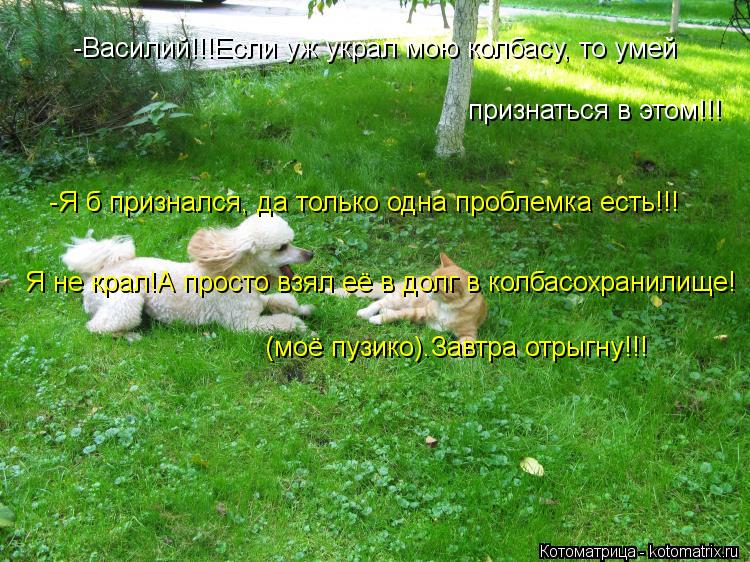 -Василий!!!Если уж украл мою колбасу, то умей признаться в этом!!! -Я б признался, да только одна про... Котоматрица: -Василий!!!Если уж украл мою колбасу, то умей признаться в этом!!! -Я б признался, да только одна проблемка есть!!! Я не крал!А просто взял её в до