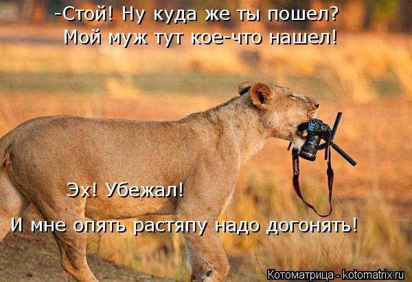 Мой муж тут кое-что нашел! -Стой! Ну куда же ты пошел? Эх! Убежал! И мне опять растяпу надо догонять!... Котоматрица: Мой муж тут кое-что нашел! -Стой! Ну куда же ты пошел? Эх! Убежал! И мне опять растяпу надо догонять!