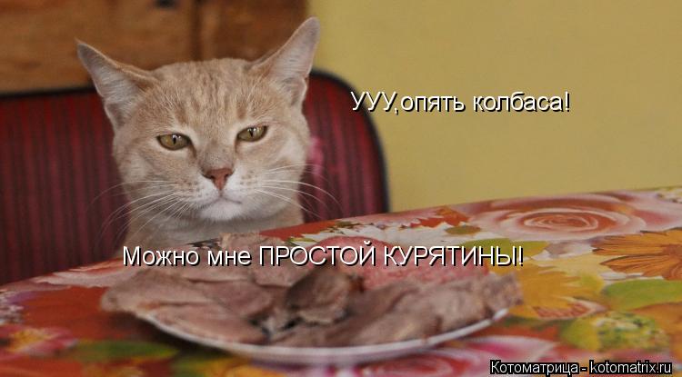 УУУ,опять колбаса! Можно мне ПРОСТОЙ КУРЯТИНЫ!... Котоматрица: УУУ,опять колбаса! Можно мне ПРОСТОЙ КУРЯТИНЫ!