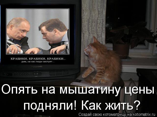 Опять на мышатину цены подняли! Как жить?... Котоматрица: Опять на мышатину цены подняли! Как жить?