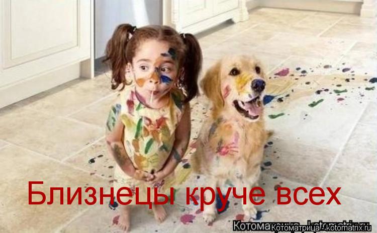 Близнецы круче всех... Котоматрица: Близнецы круче всех