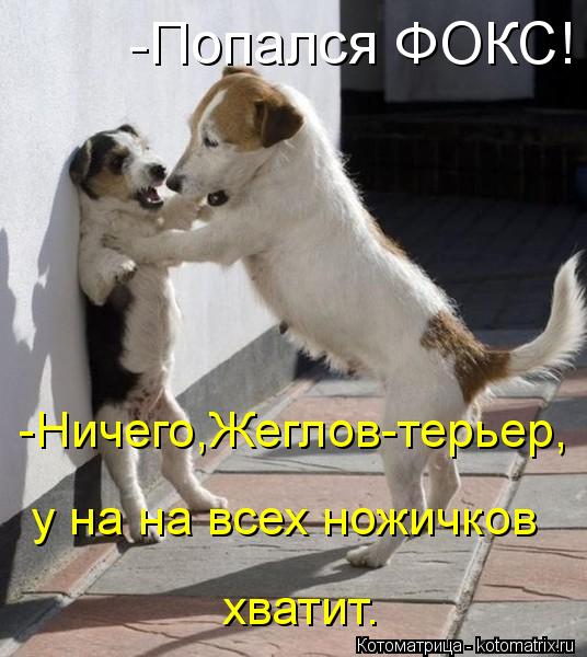 -Попался ФОКС! -Ничего,Жеглов-терьер, у на на всех ножичков хватит.... Котоматрица: -Попался ФОКС! -Ничего,Жеглов-терьер, у на на всех ножичков хватит.