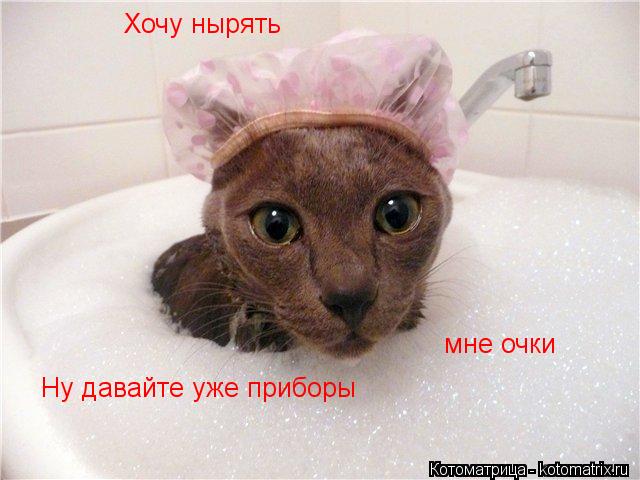 Хочу нырять Ну давайте уже приборы мне очки... Котоматрица: Хочу нырять Ну давайте уже приборы мне очки