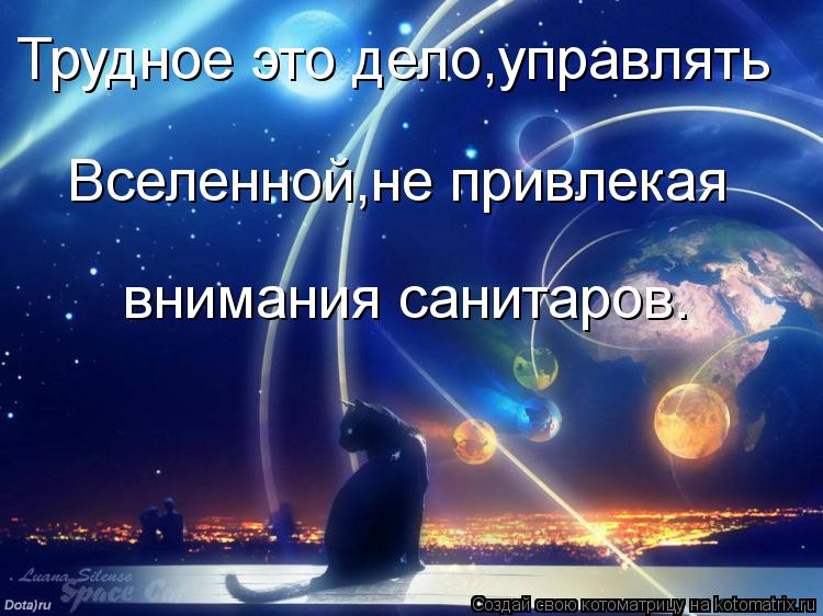 Трудное это дело,управлять внимания санитаров. Вселенной,не привлекая... Котоматрица: Трудное это дело,управлять внимания санитаров. Вселенной,не привлекая