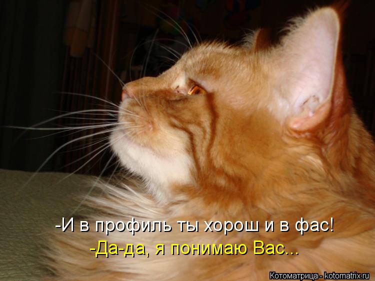 -И в профиль ты хорош и в фас! -Да-да, я понимаю Вас...... Котоматрица: -И в профиль ты хорош и в фас! -Да-да, я понимаю Вас...