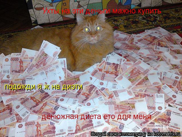 Ухты на эти деньги мажно купить подожди я ж на диэти денюжная диета ето для меня... Котоматрица: Ухты на эти деньги мажно купить подожди я ж на диэти денюжная диета ето для меня